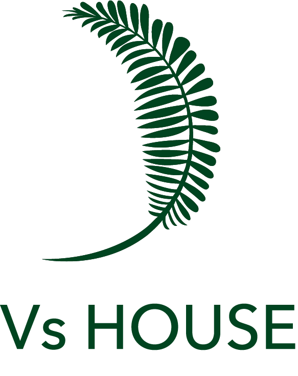 V's House